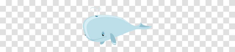 Cartoon Whale Clip Art, Mammal, Animal, Sea Life, Beluga Whale Transparent Png