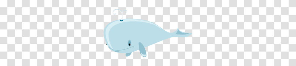 Cartoon Whale Clip Art, Sea Life, Animal, Mammal, Beluga Whale Transparent Png