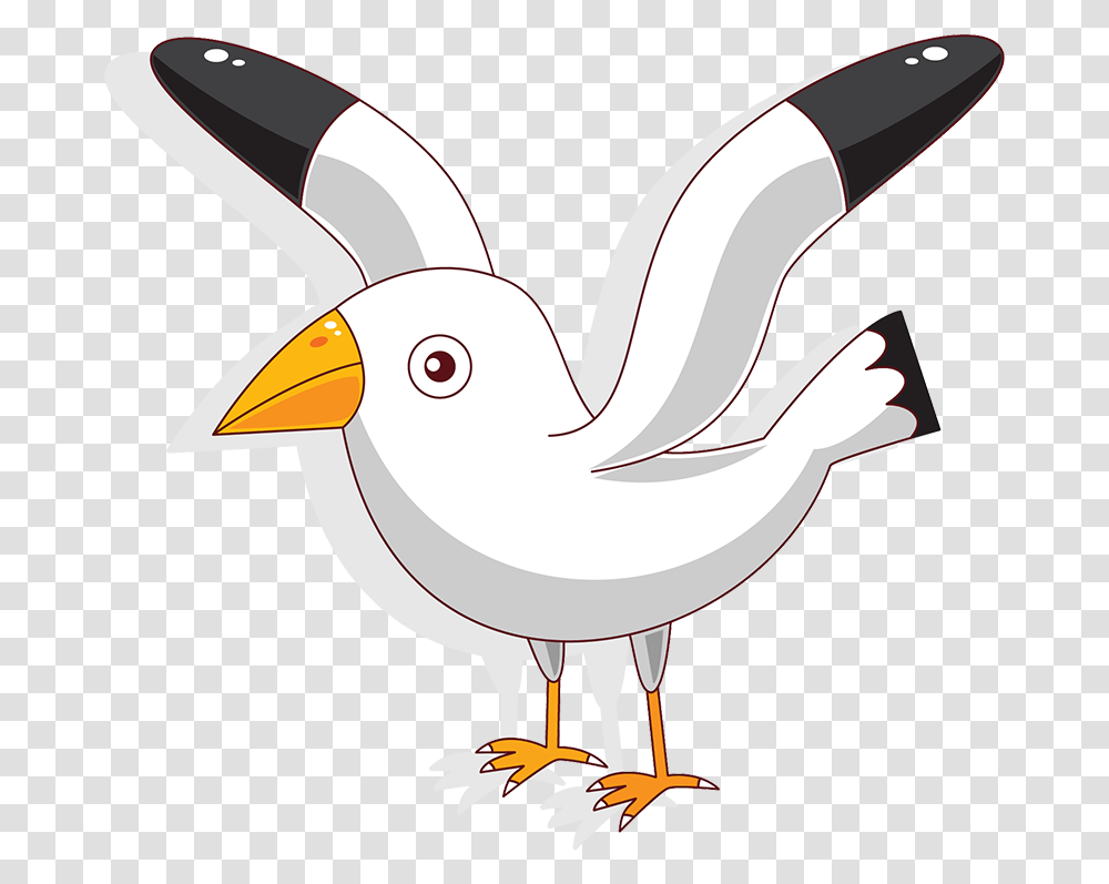Cartoon White Seagull Download Background Seagull, Bird, Animal, Beak, Puffin Transparent Png