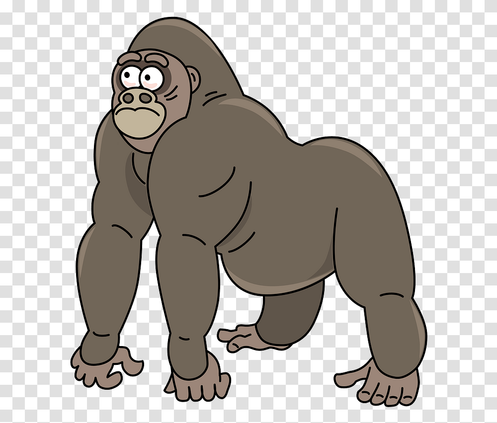 Cartoon, Wildlife, Animal, Mammal, Ape Transparent Png