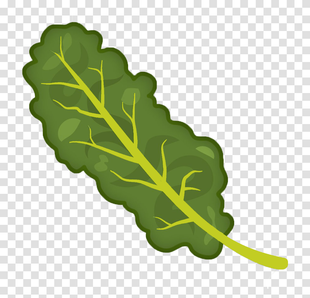 Cartooned Image Of Kale Kale Clipart, Plant, Vegetable, Food, Produce Transparent Png