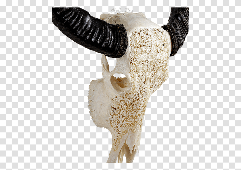 Carved Buffalo Skull Horn, Ivory, Mammal, Animal, Lace Transparent Png