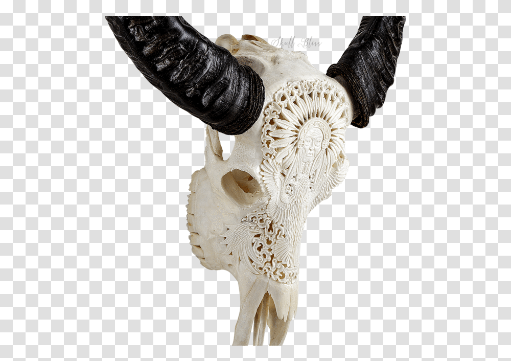Carved Buffalo Skull Mandala Skull Carving, Ivory, Animal, Cross Transparent Png