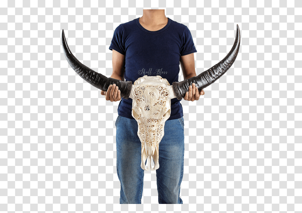 Carved Buffalo Skull Skull Bliss, Person, Pants, Hip Transparent Png