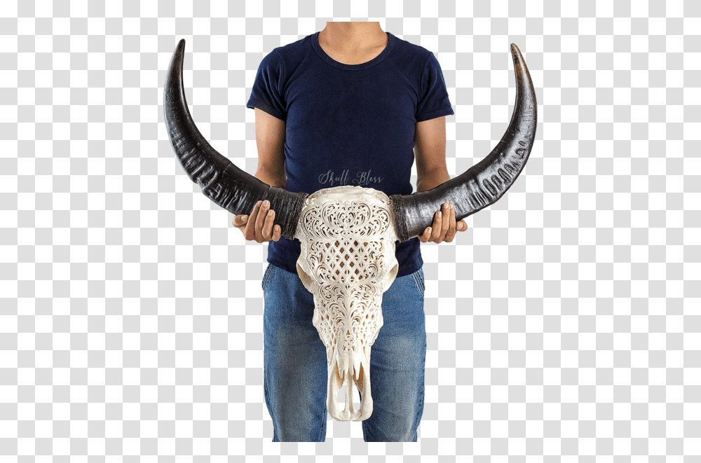 Carved Buffalo Skull Trophy Skull Carve, Person, Pants, Costume Transparent Png