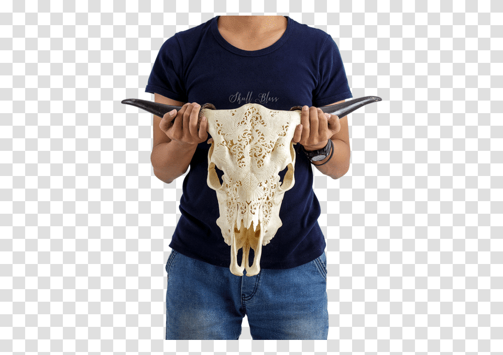Carved Cow Skull Horn, Apparel, Person, Human Transparent Png