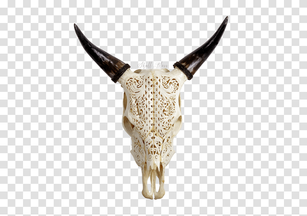 Carved Cow Skull, Mammal, Animal, Ivory, Antler Transparent Png