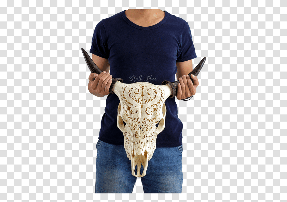 Carved Cow Skull Skull, Person, Human, Lace Transparent Png