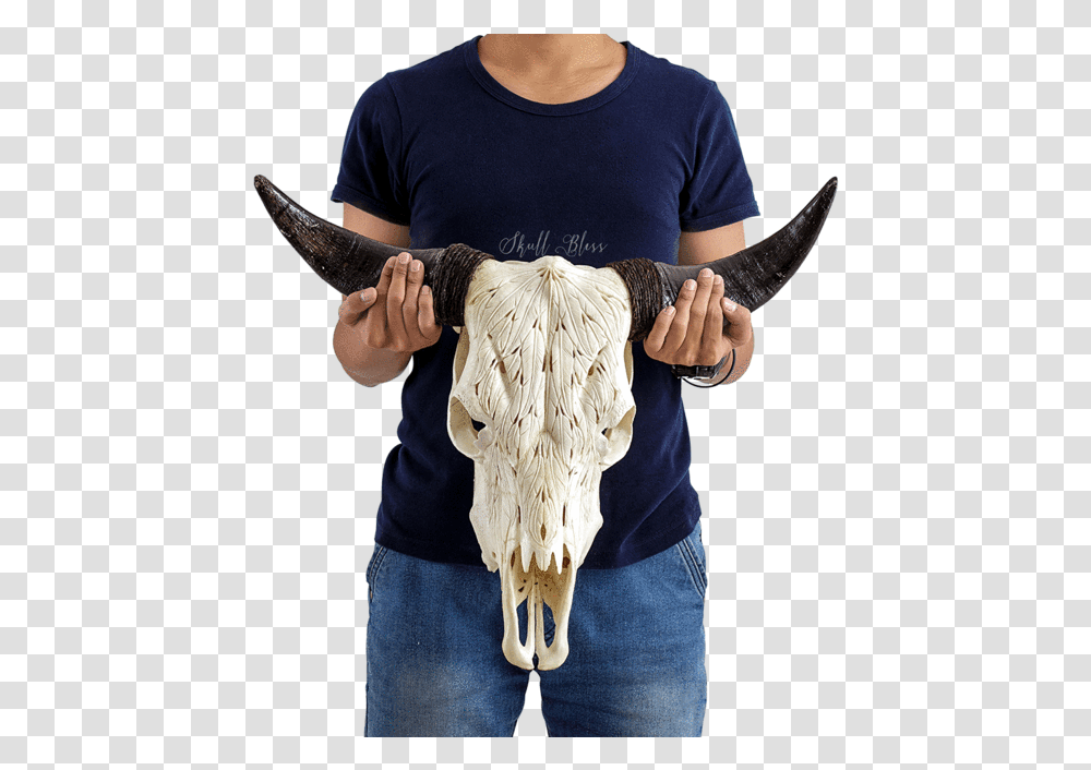 Carved Cow Skull Xl Horns Mandala Bull Skull Painted, Person, Sleeve, Long Sleeve Transparent Png