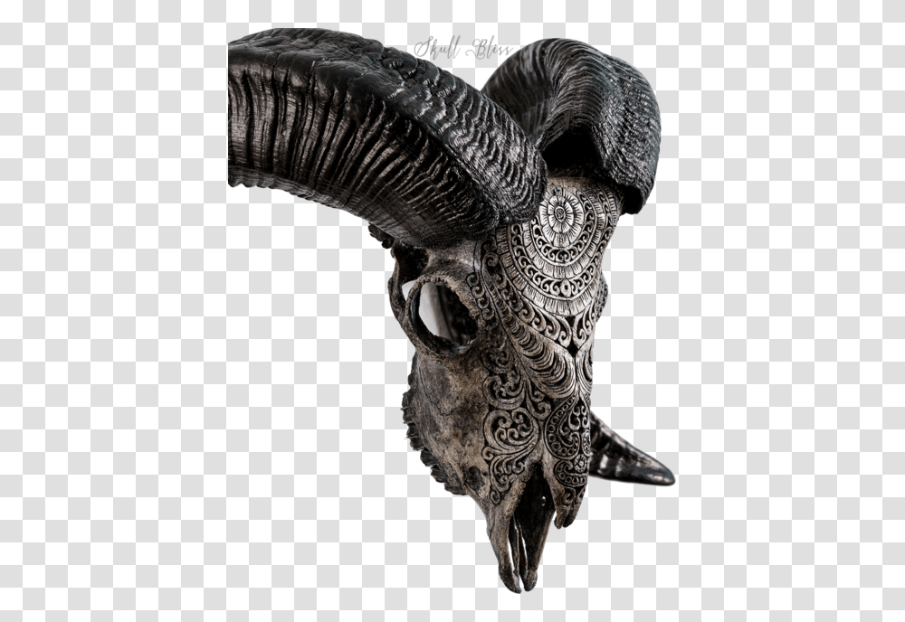 Carved Ram Skull Bat, Dinosaur, Reptile, Animal, Statue Transparent Png
