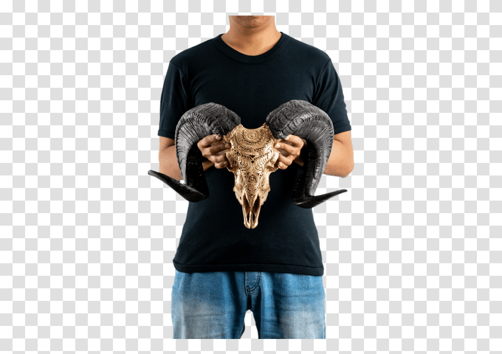 Carved Ram Skull Bull, Sleeve, Long Sleeve, Person Transparent Png