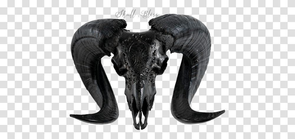 Carved Ram Skull Horn, Alien, Elephant, Wildlife, Mammal Transparent Png