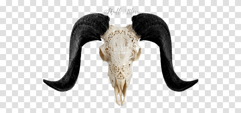 Carved Ram Skull Horn, Ivory, Hip, Bird, Animal Transparent Png