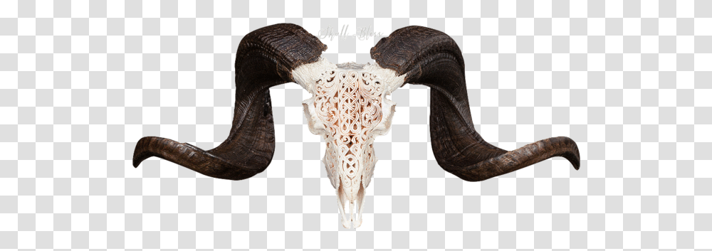 Carved Ram Skull Ram Skull Art Transparant, Ivory, Bronze Transparent Png