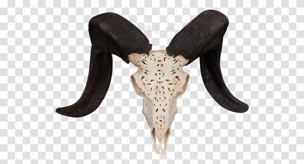 Carved Ram Skull Ram Skull, Mammal, Animal, Antler, Hammer Transparent Png