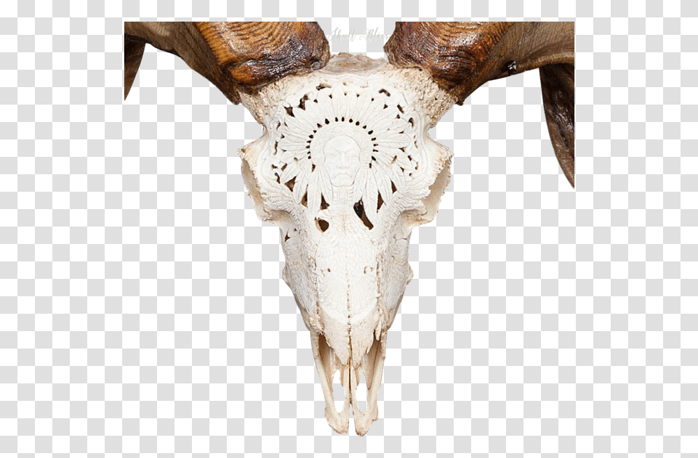Carved Ram Skull Ram Skull, Sheep, Mammal, Animal, Antler Transparent Png