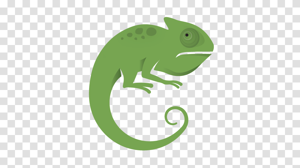 Case Studies, Lizard, Reptile, Animal, Gecko Transparent Png
