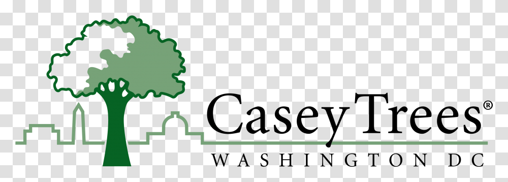 Casey Trees, Face, Crowd Transparent Png