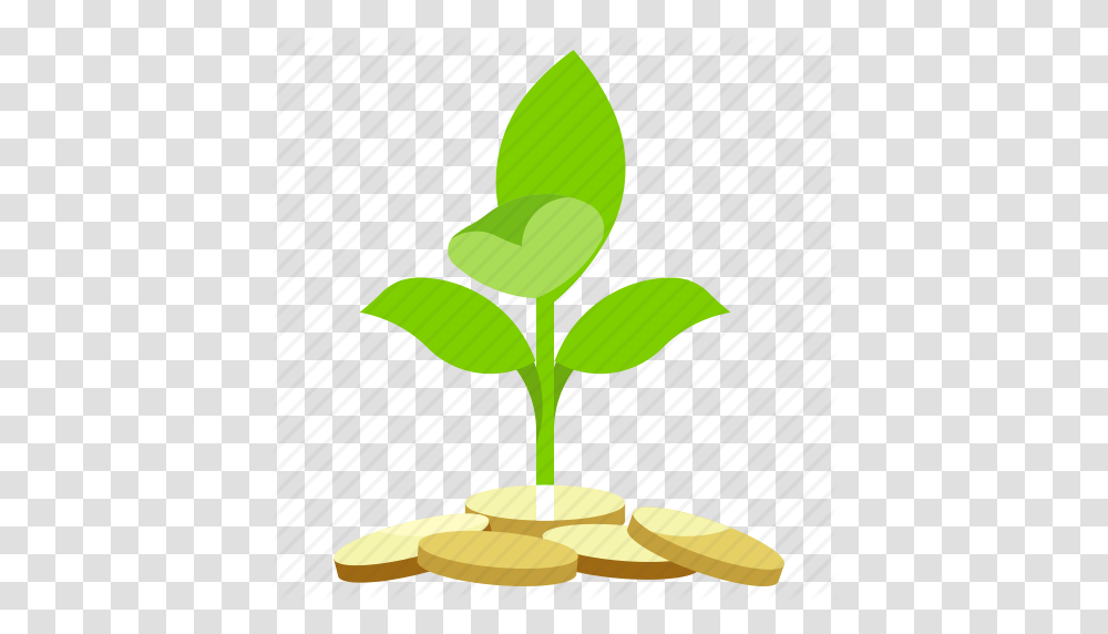 Cash Finance Money Plant Icon, Sprout, Flower, Blossom, Balloon Transparent Png