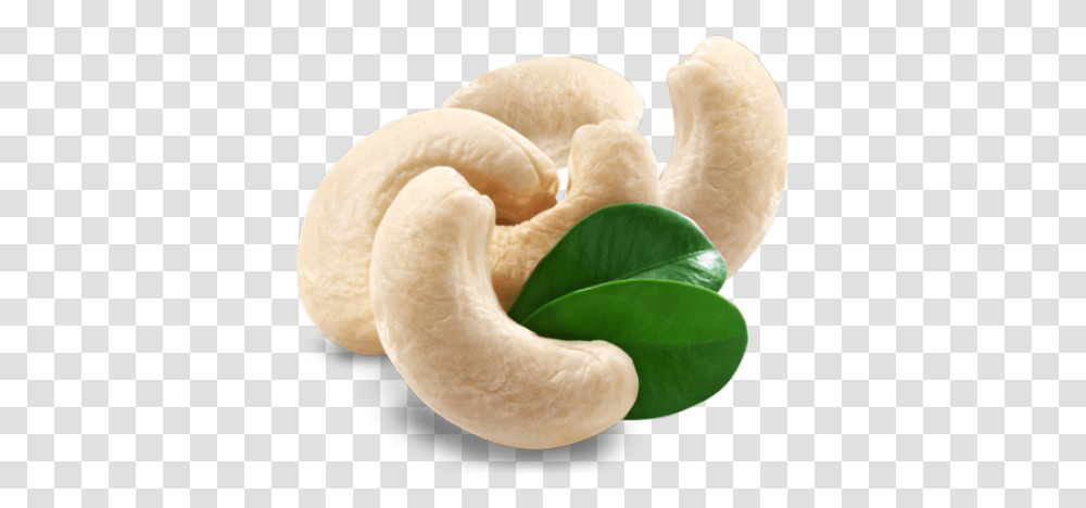 Cashew Images Kaju, Plant, Nut, Vegetable, Food Transparent Png