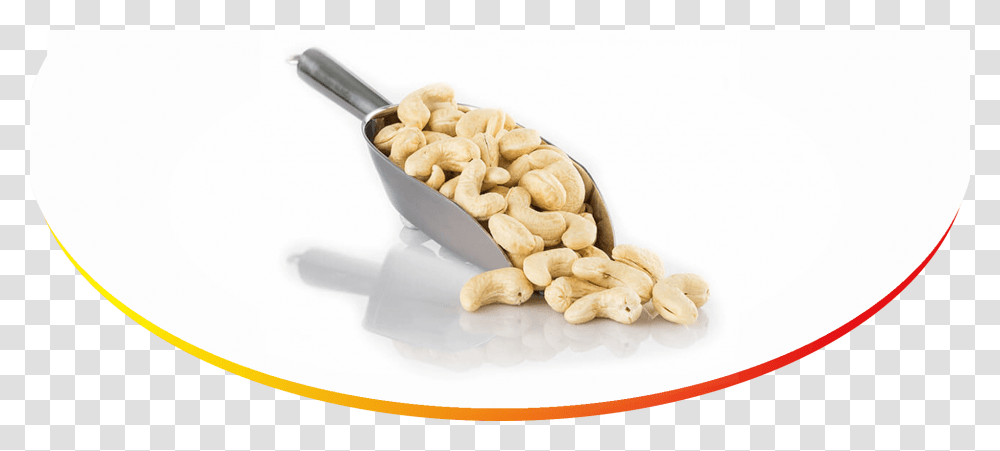 Cashew In Spoon, Plant, Nut, Vegetable, Food Transparent Png