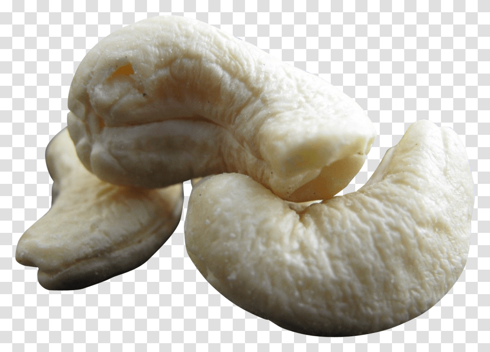 Cashew Nut Image Cashew, Fungus, Plant, Food, Fruit Transparent Png