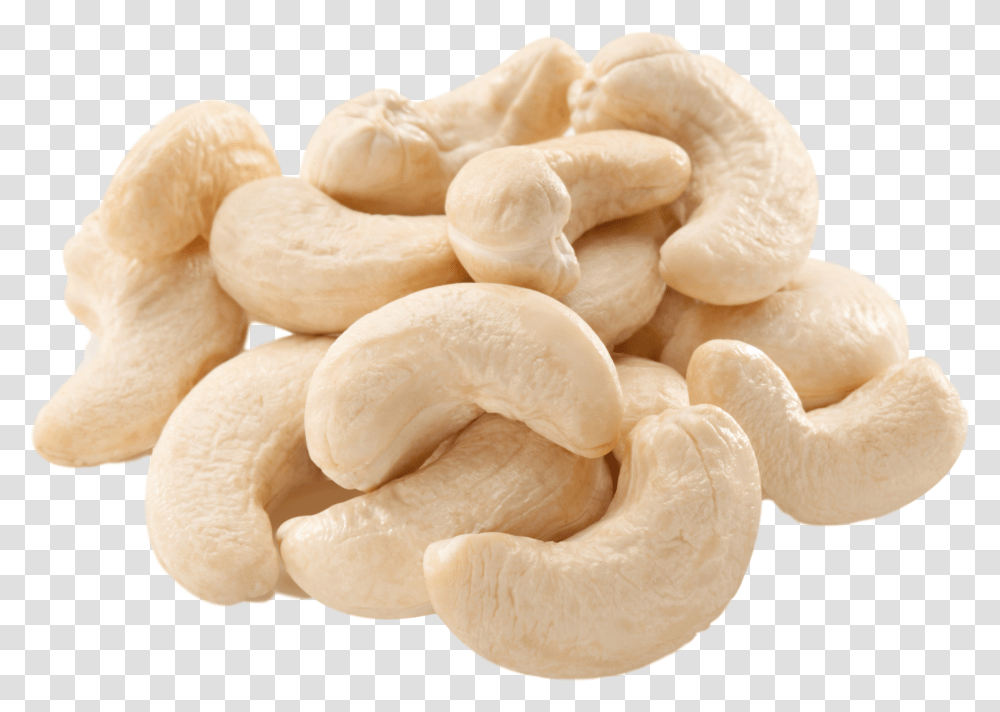 Cashew Nut, Plant, Vegetable, Food, Fungus Transparent Png