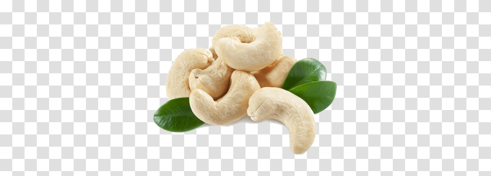 Cashew, Plant, Food, Nut, Vegetable Transparent Png