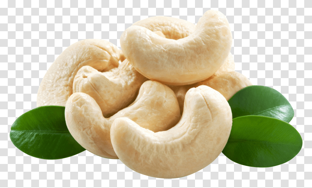 Cashew, Plant, Food, Nut, Vegetable Transparent Png