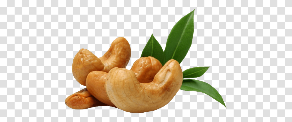 Cashew, Plant, Nut, Vegetable, Food Transparent Png
