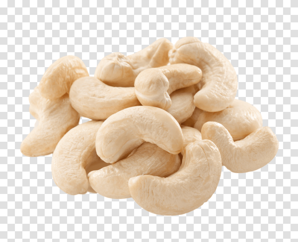 Cashew, Plant, Nut, Vegetable, Food Transparent Png