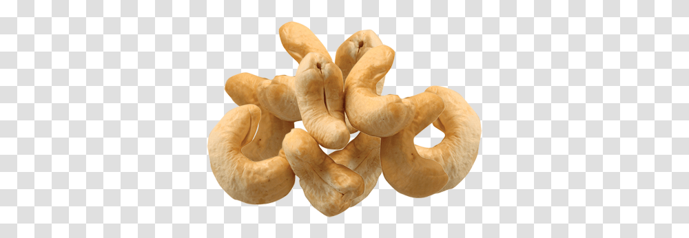 Cashew, Plant, Nut, Vegetable, Food Transparent Png