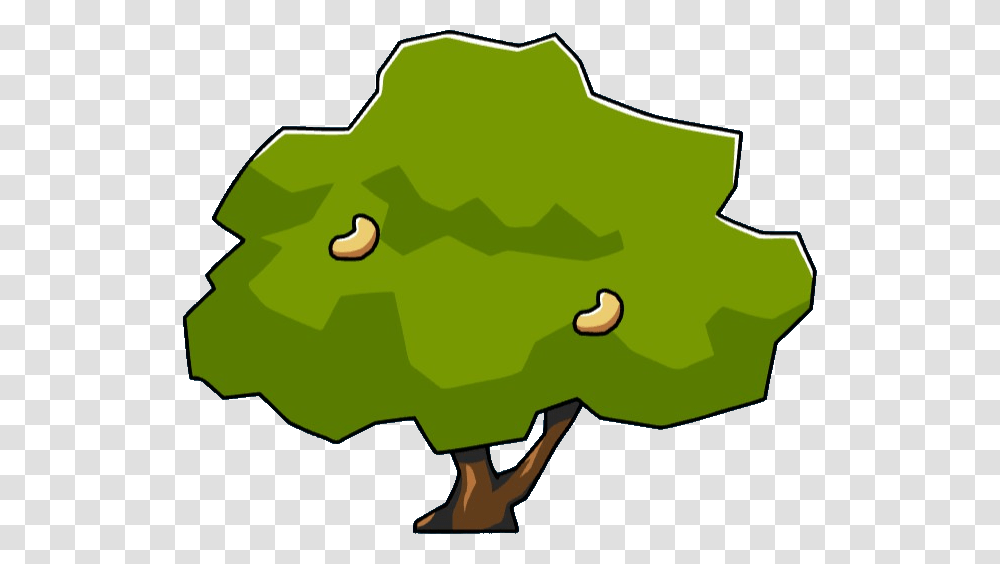 Cashew Tree Clipart Download, Plant, Nature, Land, Outdoors Transparent Png