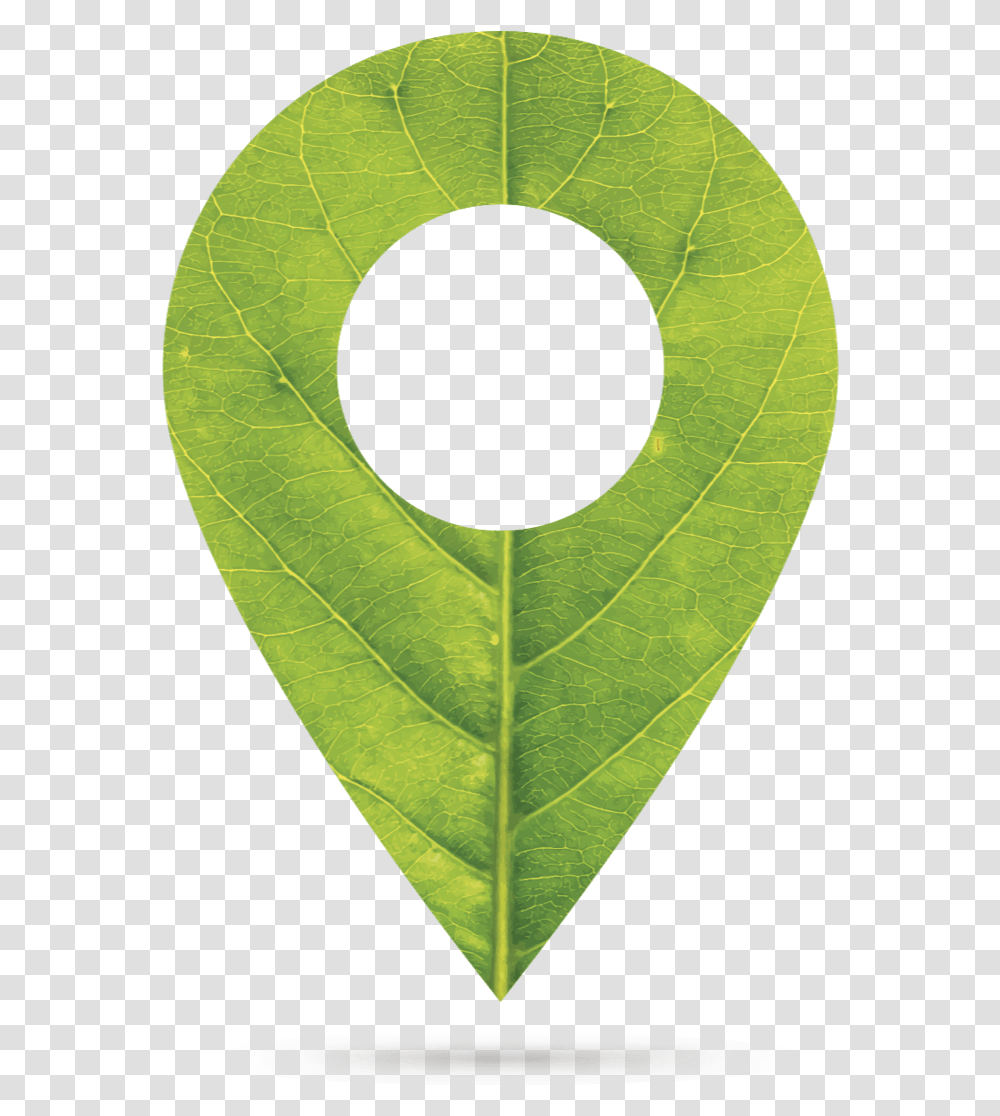 Casio Green Marker Circle, Hole, Leaf, Plant, Moon Transparent Png