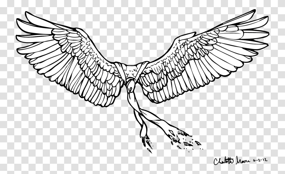 Castiel Drawing Line Art Supernatural Castiel Wings Drawing, Eagle, Bird, Animal, Vulture Transparent Png
