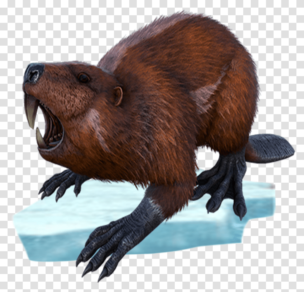 Castoroides Ark Giant Beaver, Wildlife, Rodent, Animal, Mammal Transparent Png
