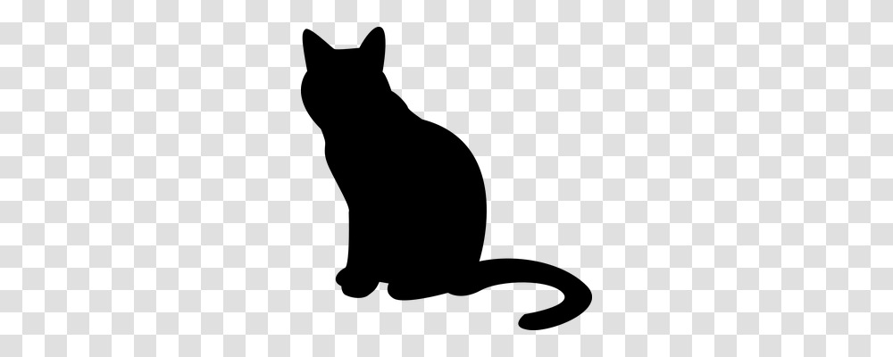 Cat Animals, Gray, World Of Warcraft Transparent Png