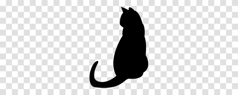 Cat Animals, Gray, World Of Warcraft Transparent Png