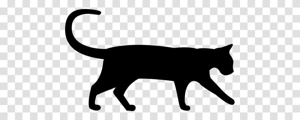 Cat Animals, Gray, World Of Warcraft Transparent Png