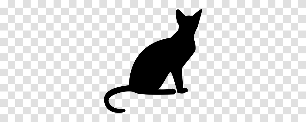 Cat Animals, Gray, World Of Warcraft Transparent Png