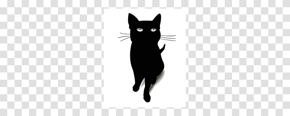 Cat Black Cat, Pet, Mammal, Animal Transparent Png