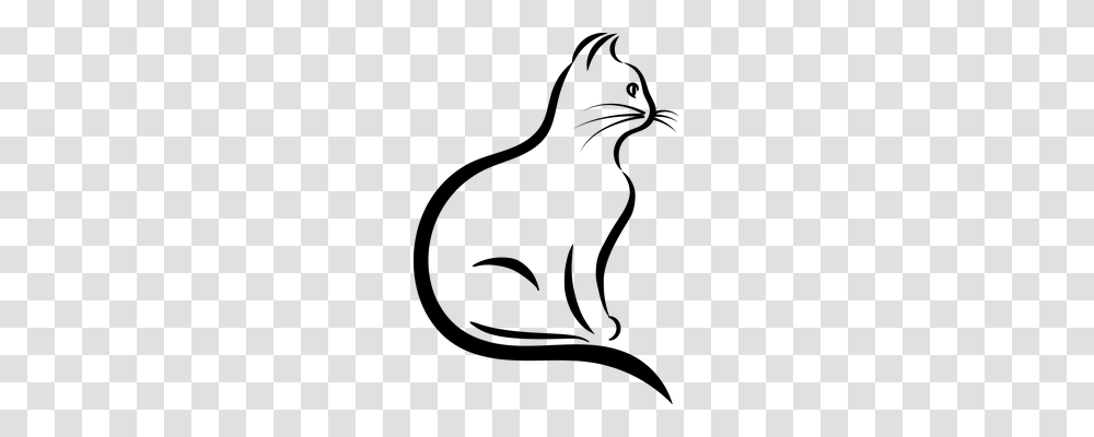 Cat Animals, Gray, World Of Warcraft Transparent Png