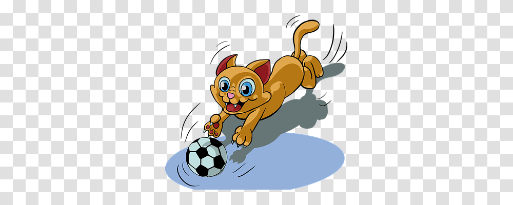 Cat Sport, Soccer Ball, Team Sport, Animal Transparent Png