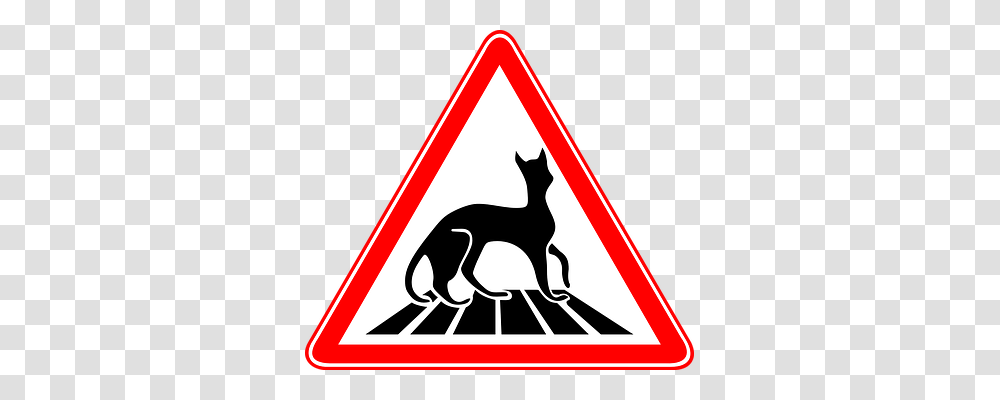 Cat Animals, Road Sign, Stopsign Transparent Png