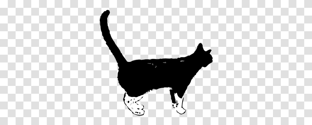 Cat Animals, Silhouette, Bird, Stencil Transparent Png