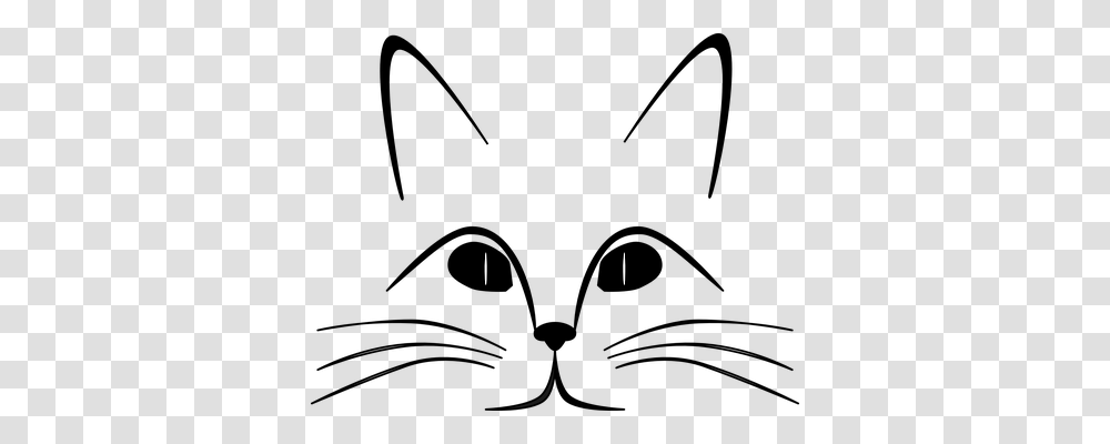 Cat Animals, Number Transparent Png