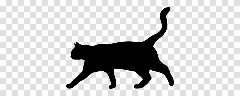 Cat Animals, Gray, World Of Warcraft Transparent Png