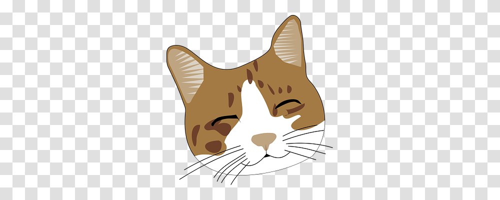 Cat Emotion, Pet, Mammal, Animal Transparent Png