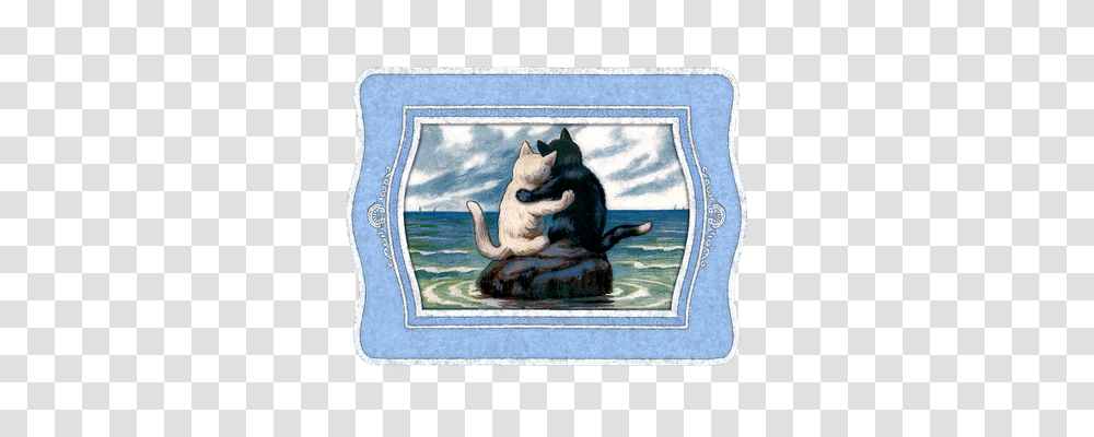 Cat Holiday, Rug, Pet, Mammal Transparent Png