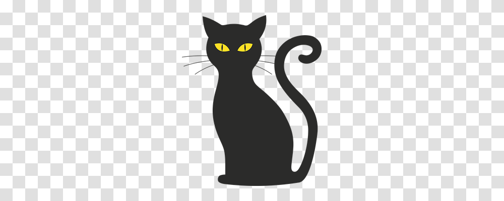 Cat Animals, Pet, Mammal, Black Cat Transparent Png